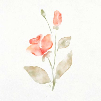 Square Wall Art Premium Print Wall Art Poster