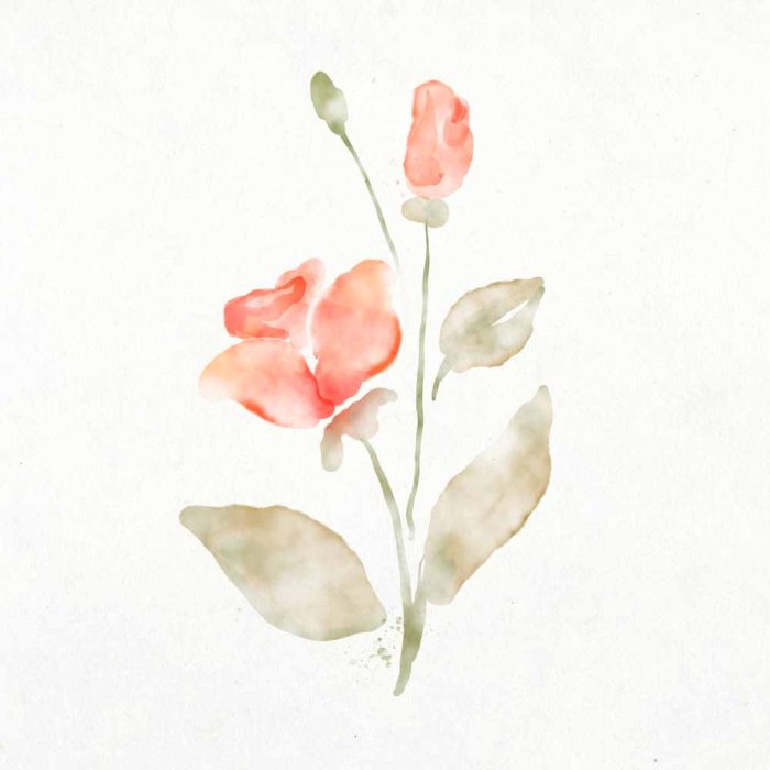 Square Wall Art Premium Print Wall Art Poster - Image 1