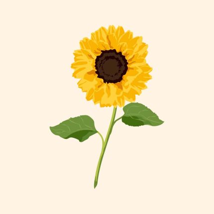 Square Wall Art Premium Print Wall Art Poster