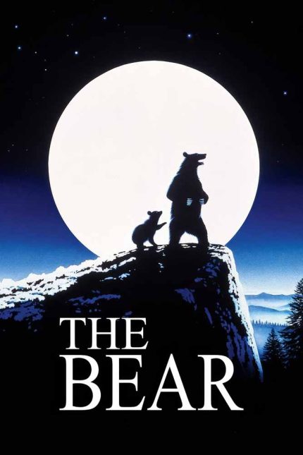 The Bear 1988 Movie Poster Wall Art