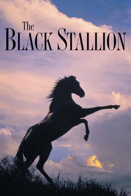 The Black Stallion 1979 Movie Poster Wall Art