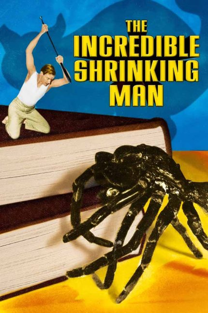 The Incredible Shrinking Man 1957 Movie Poster Wall Art