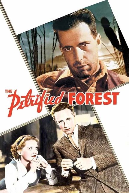 The Petrified Forest 1936 Movie Poster Wall Art