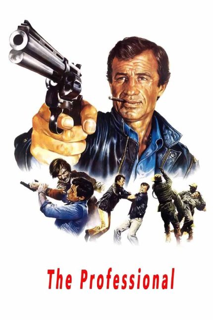 The Professional 1981 Movie Poster Wall Art