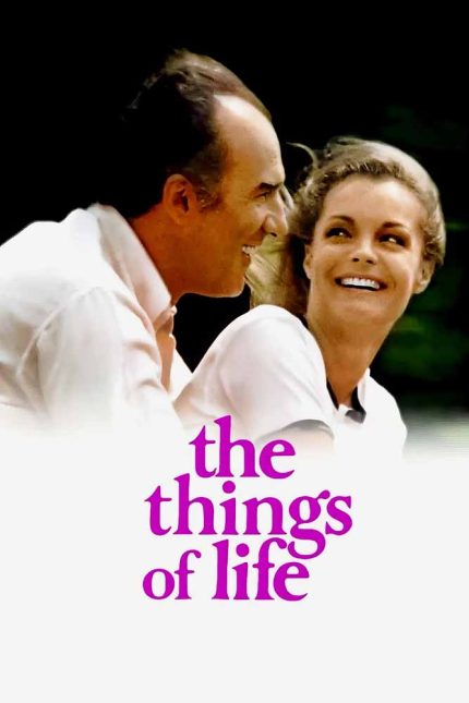 The Things of Life 1970 Movie Poster Wall Art