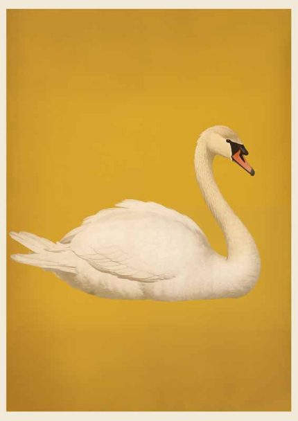 Eclectic Trendy Colorful Wall Art Poster