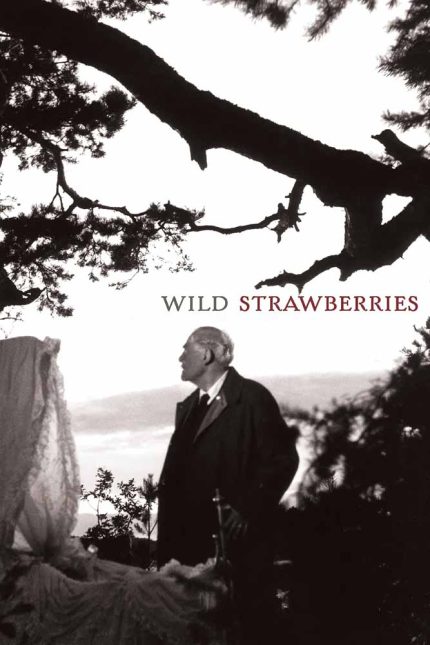 Wild Strawberries 1957 Movie Poster Wall Art