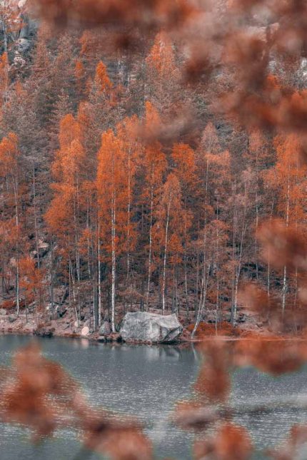 Autumn Reflections at Adršpach Lake Stock Image