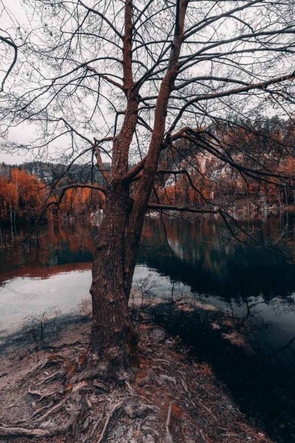 Autumn Reflections at Adršpach Lake Stock Image