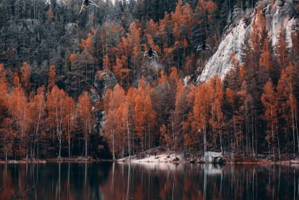 Autumn Reflections at Adršpach Lake Stock Image
