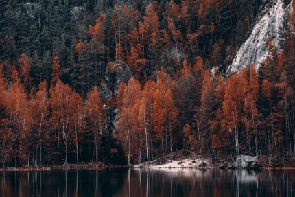 Autumn Reflections at Adršpach Lake Stock Image