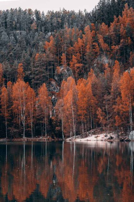 Autumn Reflections at Adršpach Lake Stock Image
