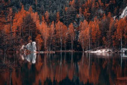Autumn Reflections at Adršpach Lake Stock Image