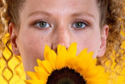 Close-Up with Sunflower and Bright Background Commercial Downloadable Photo